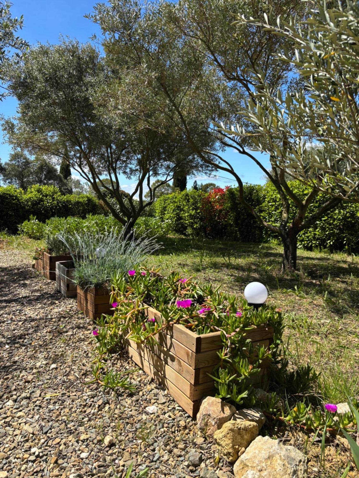 Appartement Romana Puissalicon 34 外观 照片